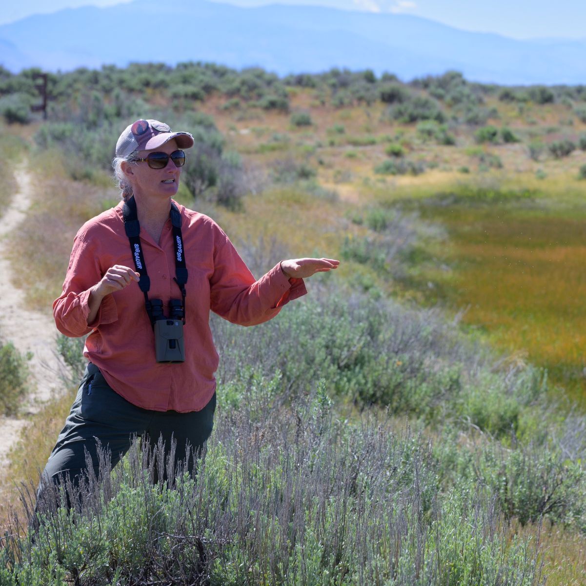 Nature Walk with Ranger Jill: 10/4 - logo